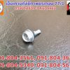 screw-16-zinc-300×225